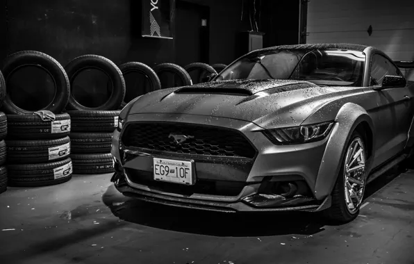 Ford, Ford Mustang, Widebody, Ford Mustang Widebody