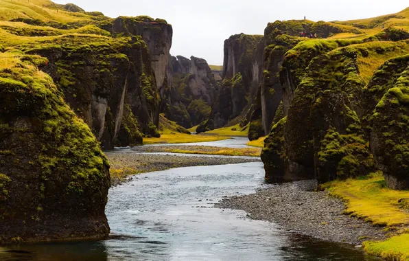 Picture greens, stones, rocks, moss, canyon, river, Iceland, Fjadrargljufur