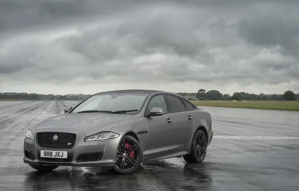 Field, grass, asphalt, trees, clouds, rain, overcast, Jaguar