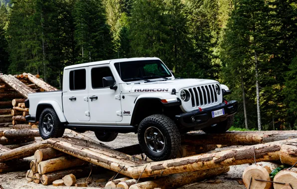 Picture white, trees, SUV, pickup, Gladiator, logs, 4x4, Jeep
