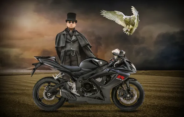 Picture owl, bird, motorcycle, male, Suzuki