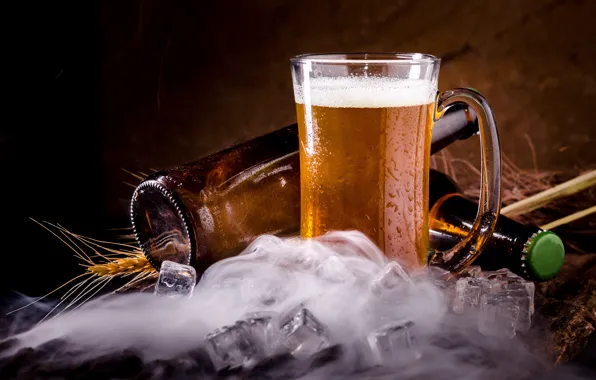 Picture bottle, ice, beer