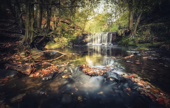 Picture autumn, river, waterfall