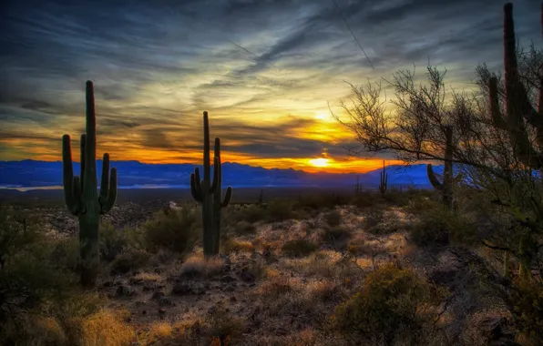 Download wallpaper United States, Arizona, Willow, Roosevelt Lake ...