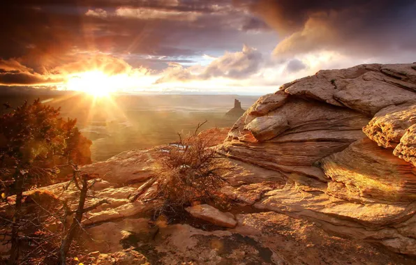 Rocks, desert, Morning