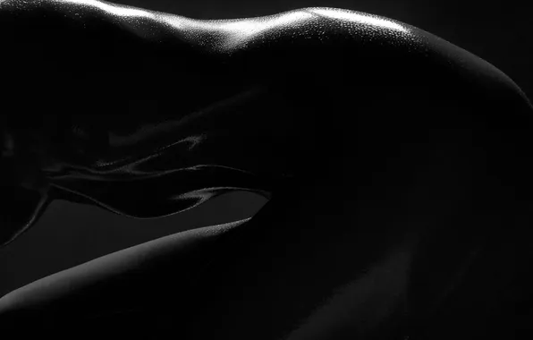 Photo, Waclaw, Wantuch