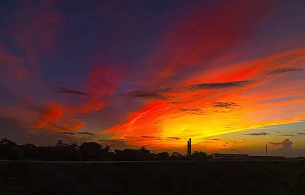 Field, the sky, clouds, trees, sunset, glow