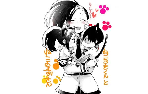 Boku no Hero Academy, Todoroki Shouto, Presence Of Momo