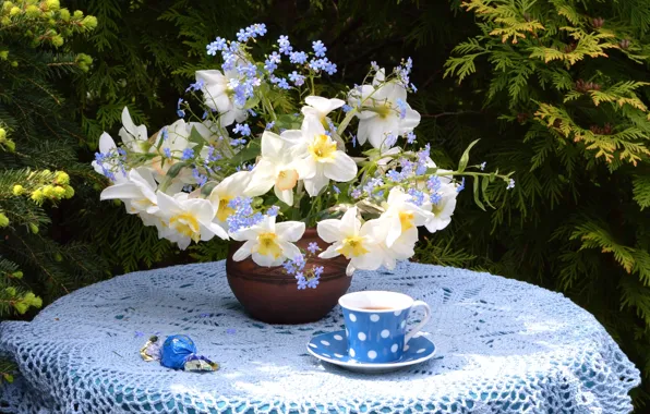 Tea, bouquet, Cup, candy, Narcissus, forget-me-not
