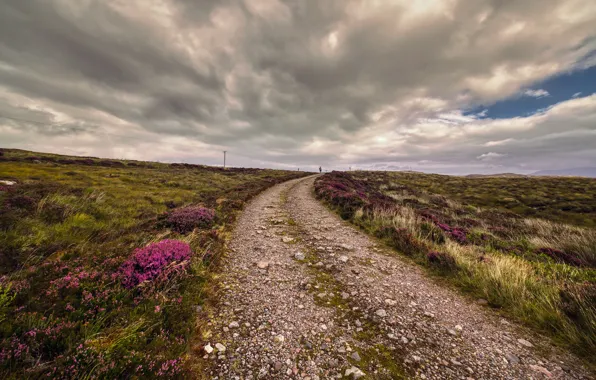 Road, field, the sky, clouds, the way, stones, hills, trail