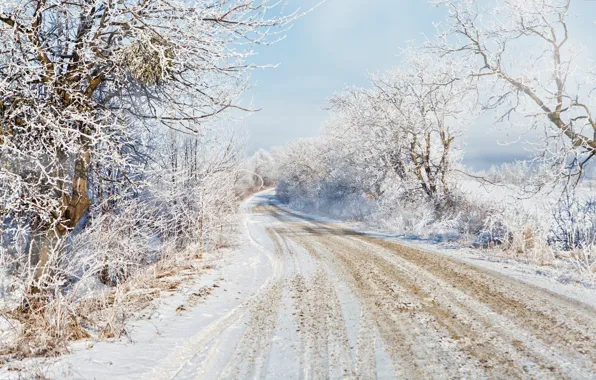 Picture winter, road, snow