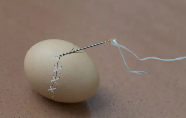 Thread, needle, egg