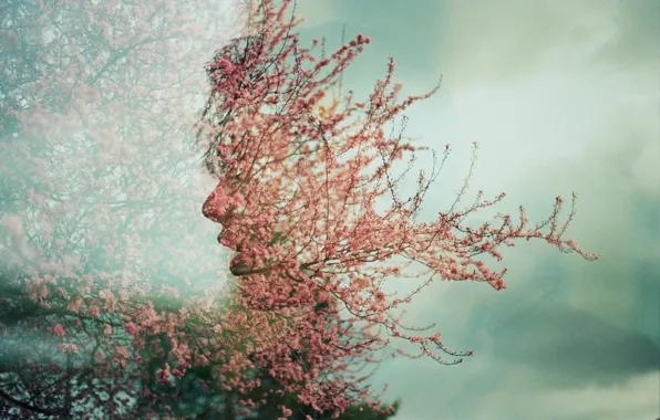 Face, tree, spring, flowers, Úna, double exposure, double exposure