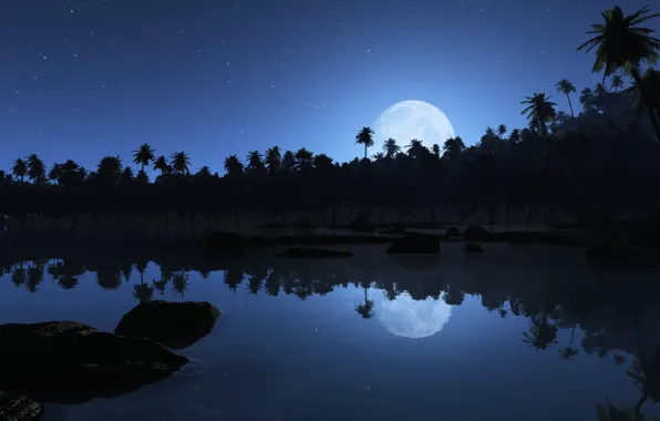 Stars, reflection, the moon, Palm trees
