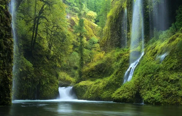 GREENS, RIVER, MOSS, TREES, VEGETATION, WATERFALLS