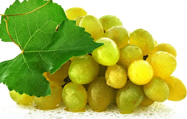 Leaves, berries, yellow, berry, grapes, bunch, yellow, leaves