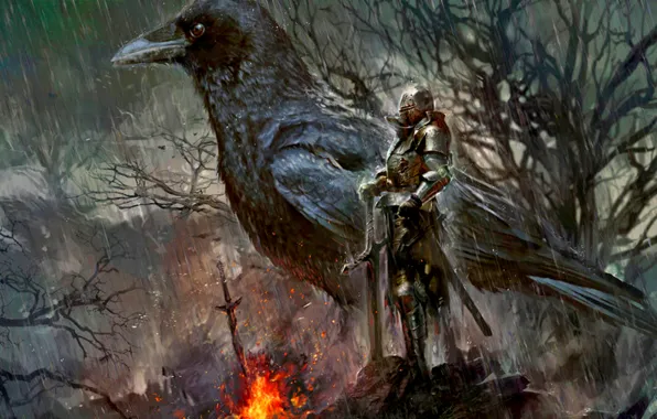 Rain, knight, Raven, the fire, Dark Souls