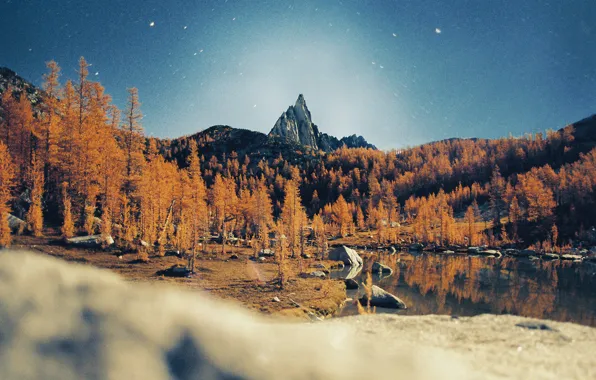 Stars, trees, mountains, night, lake, reflection, mirror, peak