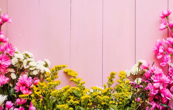 Flowers, background, pink, pink, flowers, background, wooden, spring