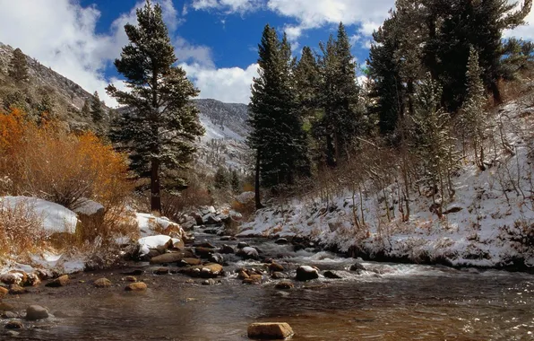 Winter, trees, mountains, river