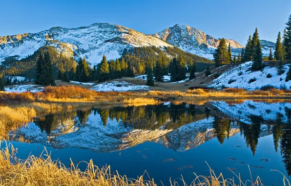 The sky, grass, snow, trees, mountains, lake, reflection, spruce