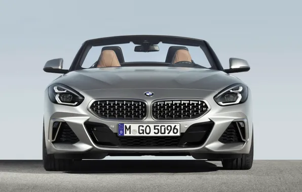 Picture grey, BMW, Roadster, front view, BMW Z4, M40i, Z4, 2019