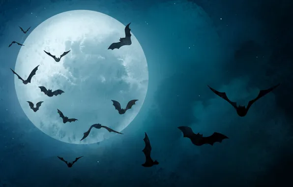 The sky, clouds, flight, night, fog, holiday, the moon, wings