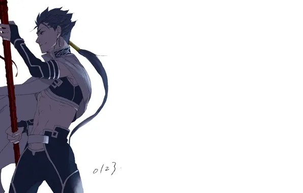 Lancer, guy, cloak, Fate / Stay Night, Fate stay Night