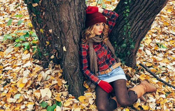 Autumn, look, leaves, girl, trees, yellow, pose, Park