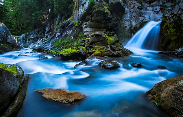 Forest, trees, river, stream, stones, waterfall, Waterfall, Rainier National Park