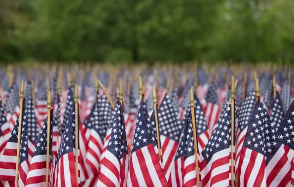 Picture macro, flags, Memorial Day