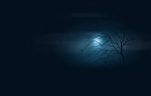 Picture void, night, fog, twilight, lonely tree, the shower, full moon, in the dark