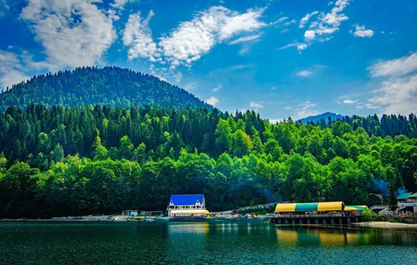 Picture greens, forest, summer, the sky, the sun, clouds, trees, mountains