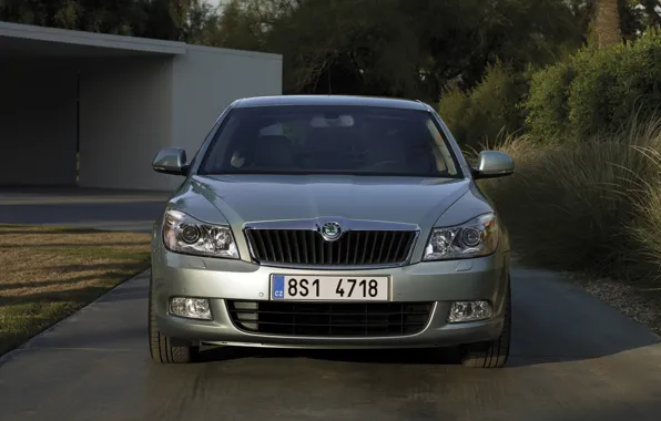 2008, sedan, front view, Skoda, Skoda, Octavia