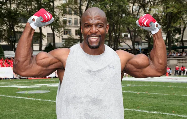 Picture look, smile, bald, actor, gloves, muscle, muscle, pose