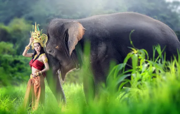 Picture girl, elephant, Asian