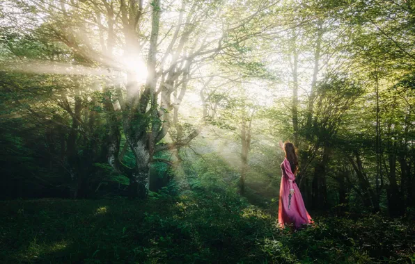 The sky, girl, landscape, nature, romance, dal, dress, long hair