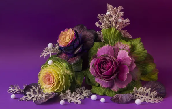 Autumn, still life, vegetables, cabbage