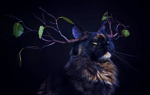 Cat, cat, look, leaves, branches, pose, tree, photoshop