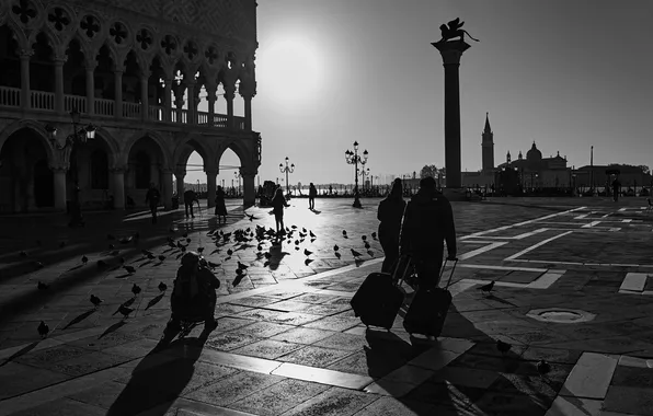 People, black and white, area, photographer, pigeons