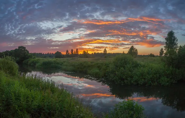 Summer, grass, sunset, beauty, the evening, river, the reflection in the water, Alexander Svistkov
