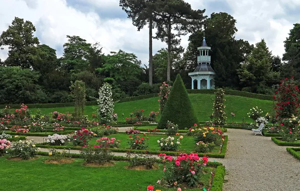 Picture trees, flowers, bench, lawn, France, Paris, track, garden