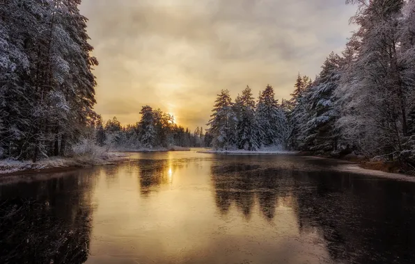Winter, nature, river
