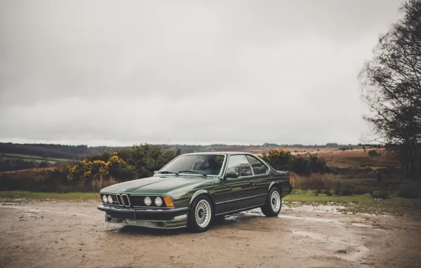 BMW, Green, Front, Side, E24, 1982, Alpina, Alpina B7