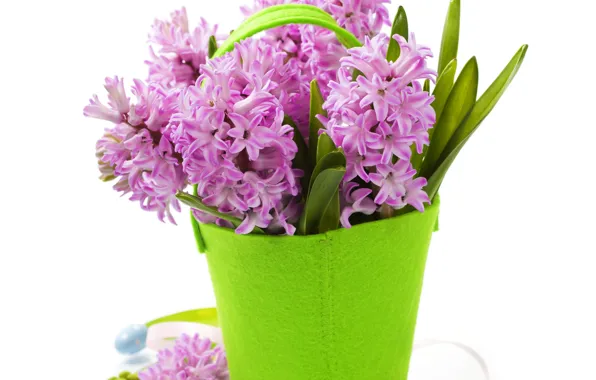 Flowers, background, vase handbag, purple Hyacinths