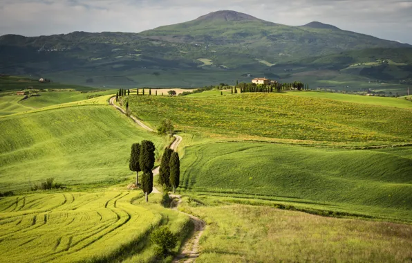 Road, summer, trees, line, mountains, house, hills, field