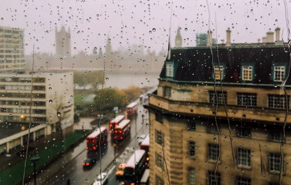 Macro, The city, Rain, City, Rain