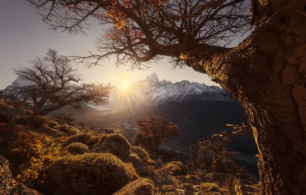 Picture the sun, rays, trees, mountains, dawn