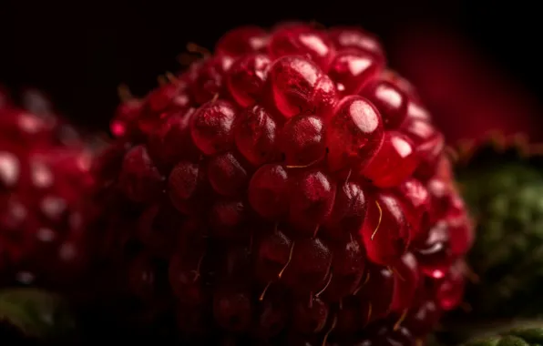 Macro, light, berries, raspberry, rendering, berry, juicy, digital art