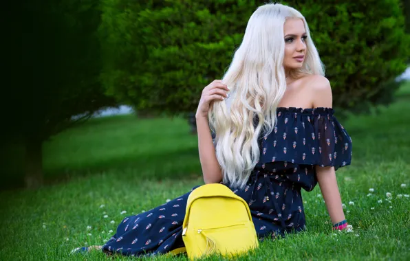 Picture face, hair, dress, blonde, bag, beauty